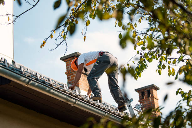 Quick and Trustworthy Emergency Roof Repair Services in Breezy Point, MN