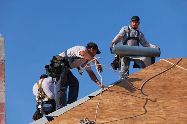 Best Emergency Roof Repair  in Breezy Point, MN