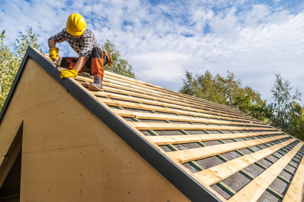 Best Shingle Roofing Installation  in Breezy Point, MN