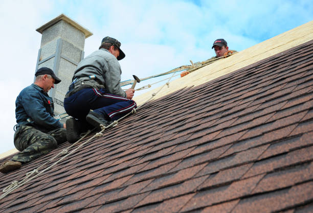 Professional Roofing Contractor in Breezy Point, MN